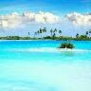 Meet your Posher, Candi